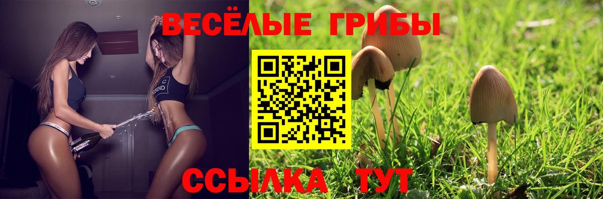 Ревда  Галлюциногенные грибы мицелий  Вход с VPN  Псилоцибиновые грибы Cubensis 